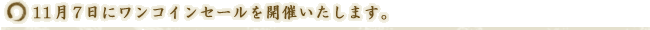 11月7日にワンコインセールを開催いたします。